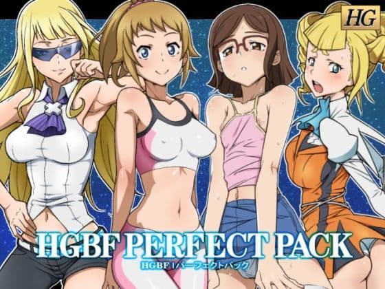 HGBF PERFECT PACKの表紙