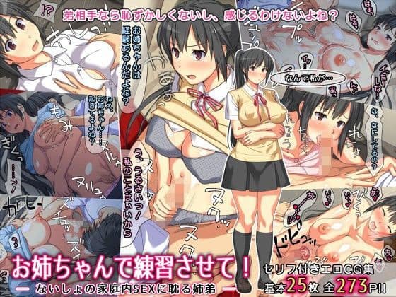 お姉ちゃんで練習させて！ ― ないしょの家庭内SEXに耽る姉弟 ―の表紙