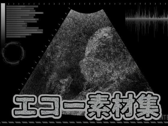 エコー素材集の表紙