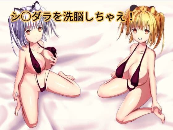 シ○ダラを洗脳しちゃえの表紙