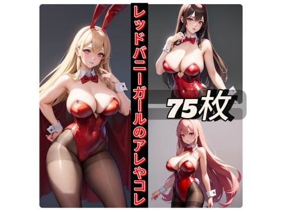レッドバニーガールのアレやコレの表紙