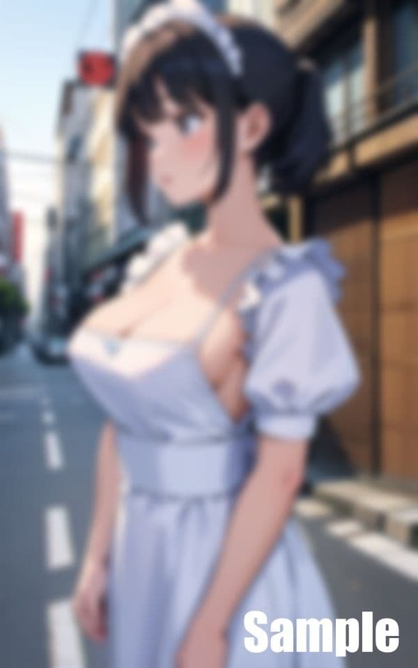 野良メイドのサンプル画像1