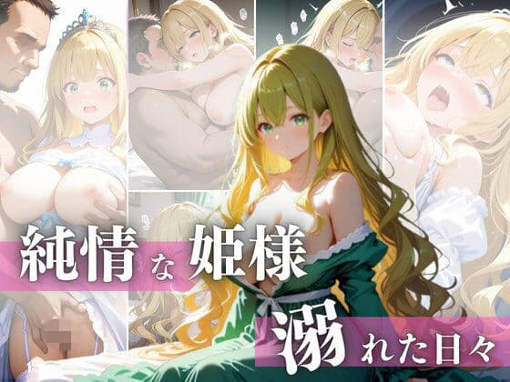 純情な姫様  溺れた日々の表紙