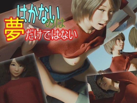 はかないのは夢だけではないの表紙