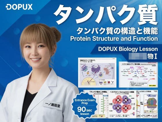 【▲20】一ノ瀬廻里 大学に進学し強豪予備校『DOPUX（ドピュックス』で生物I，IIを教える名物講師に！（Vol.017:タンパク質）の表紙