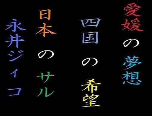 永井ジィコの愛媛夢想の表紙