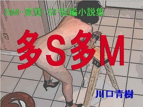 SM・変態・SF短編小説集「多S多M」の表紙