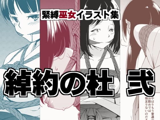 綽約の杜 弐の表紙