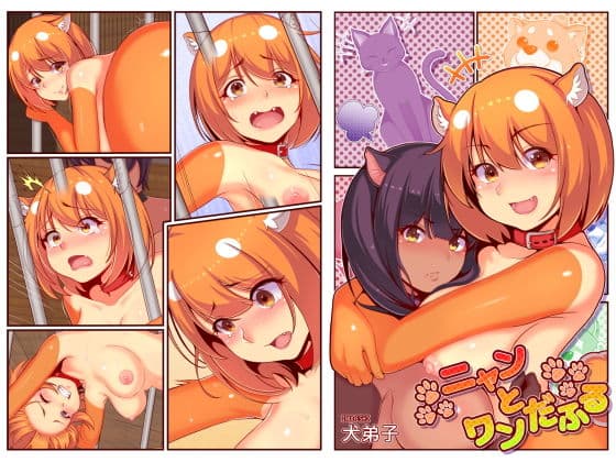 ニャンとワンだふるの表紙