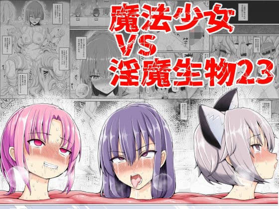 魔法少女VS淫魔生物23の表紙