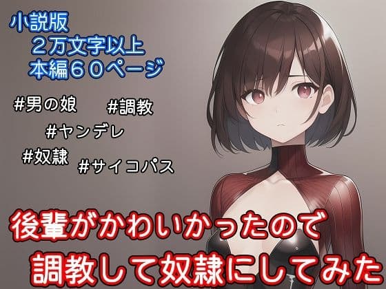 【小説版】後輩がかわいかったので調教して奴●にしてみたの表紙