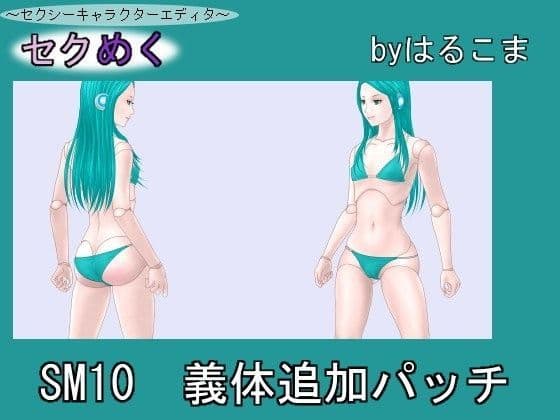 SM10義体追加パッチの表紙
