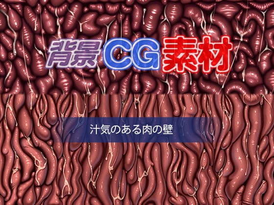 著作権フリー背景CG素材「汁気のある肉の壁」の表紙