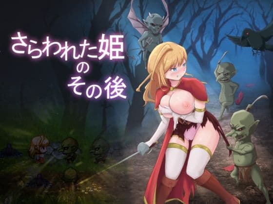 さらわれた姫のその後の表紙