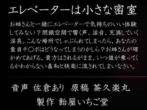エレベーターは小さな密室 （MP3版）の表紙