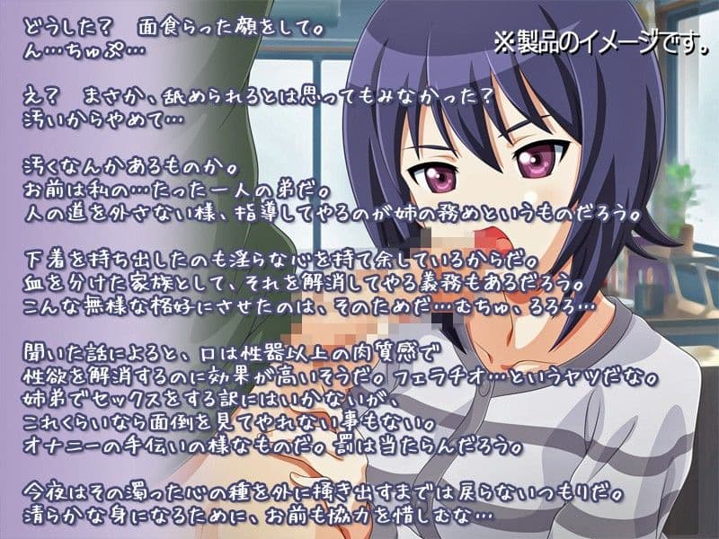 下着を持ち去った俺の将来を案じ策を講じてきた姉のサンプル画像1